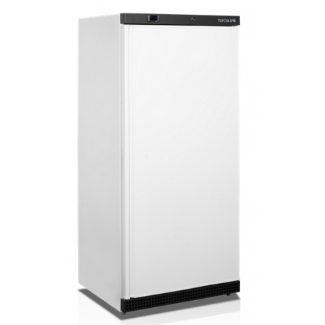 Tefcold freezer UF550