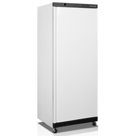 Tefcold freezer UF600