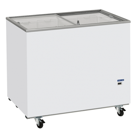 Coolhead chest freezer CFG 308